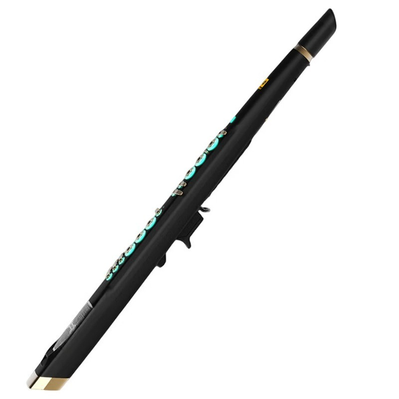Musical Instrument That You Blow Into - C20トゥルーサンプリング国産高級インテリジェント電動ブロー、電動サックス、フルート、ひょうたんシルク楽器