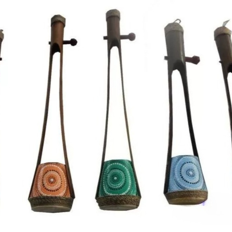 Musical Instrument Indian - 珍しいインドのソロピアノ、ニッチな楽器、音楽ギフト、手描き