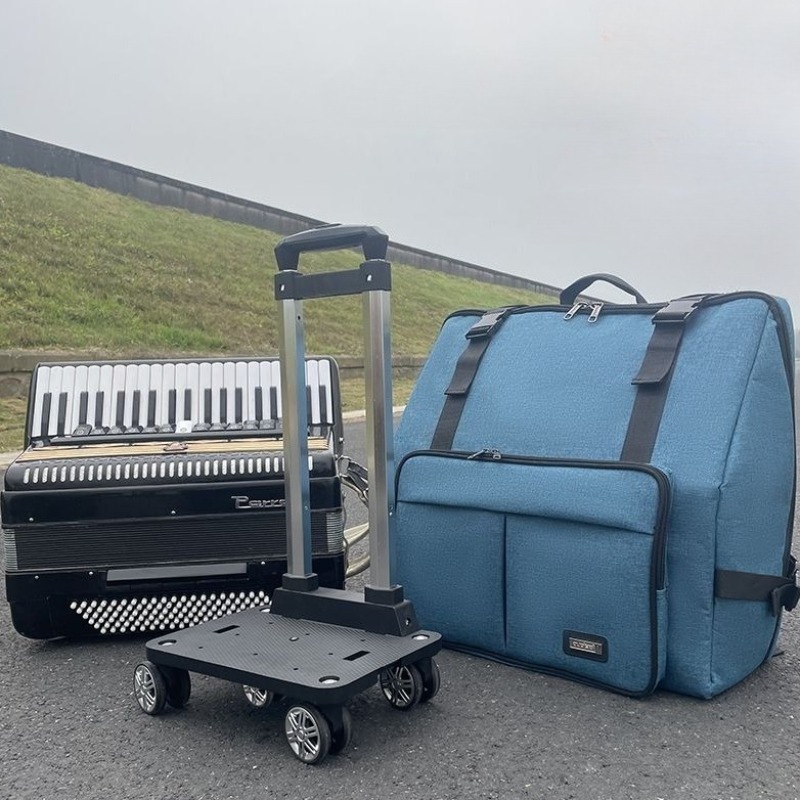 60/96/120 厚みのあるアコーディオンバッグ防水耐久性 - Musical Instrument Bag のレビューと価格