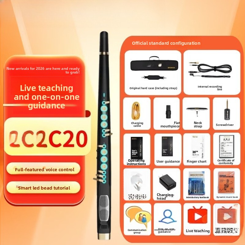 C20トゥルーサンプリング国産高級インテリジェント電動ブロー - Musical Instrument That You Blow Into のレビューと価格