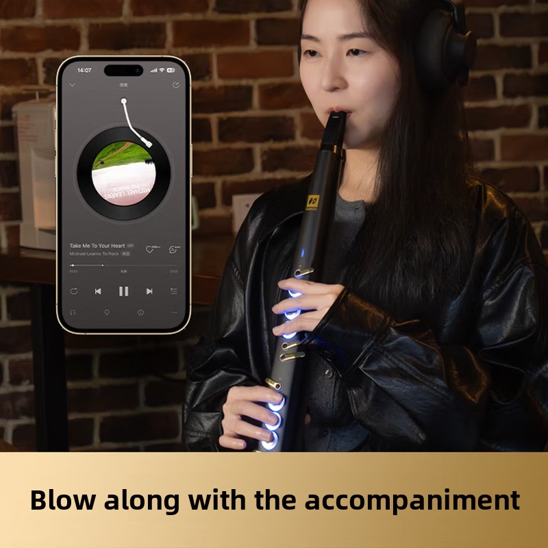 C20トゥルーサンプリング国産高級インテリジェント電動ブロー - Musical Instrument That You Blow Into のレビューと価格