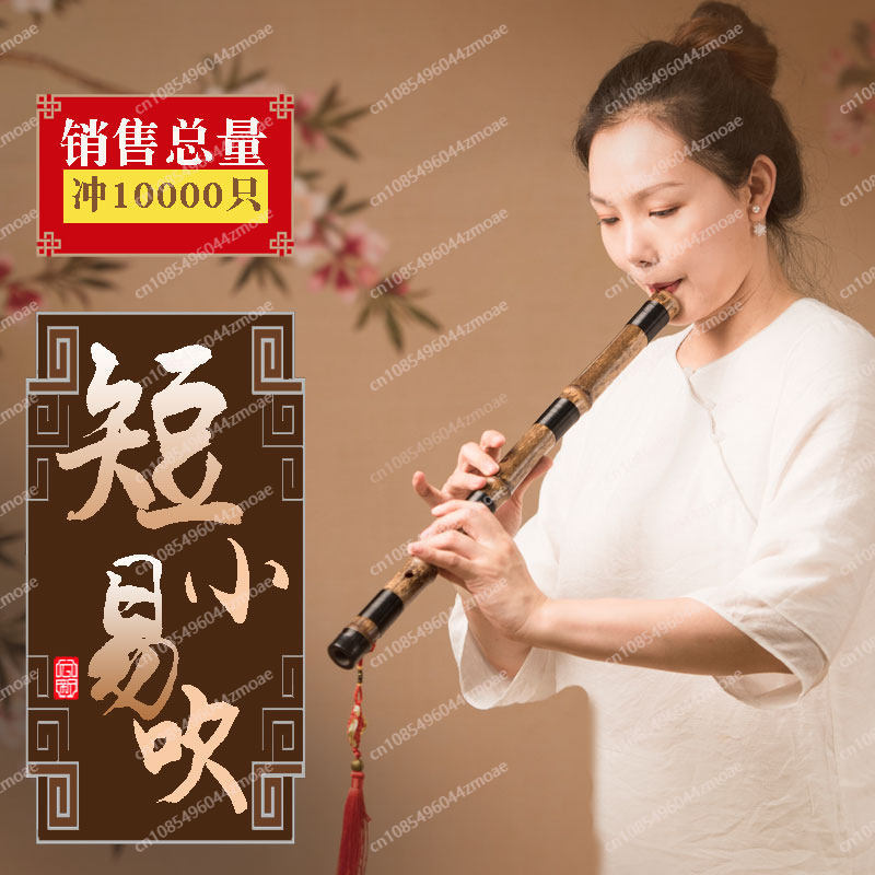 プロ仕様の竹笛、短笛、小笛、吹奏楽器、初心者向け、竹笛（ジズ - Musical Instrument That You Blow Into のレビューと価格