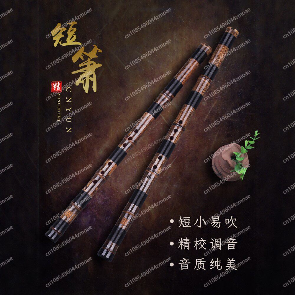 プロ仕様の竹笛、短笛、小笛、吹奏楽器、初心者向け、竹笛（ジズ - Musical Instrument That You Blow Into のレビューと価格